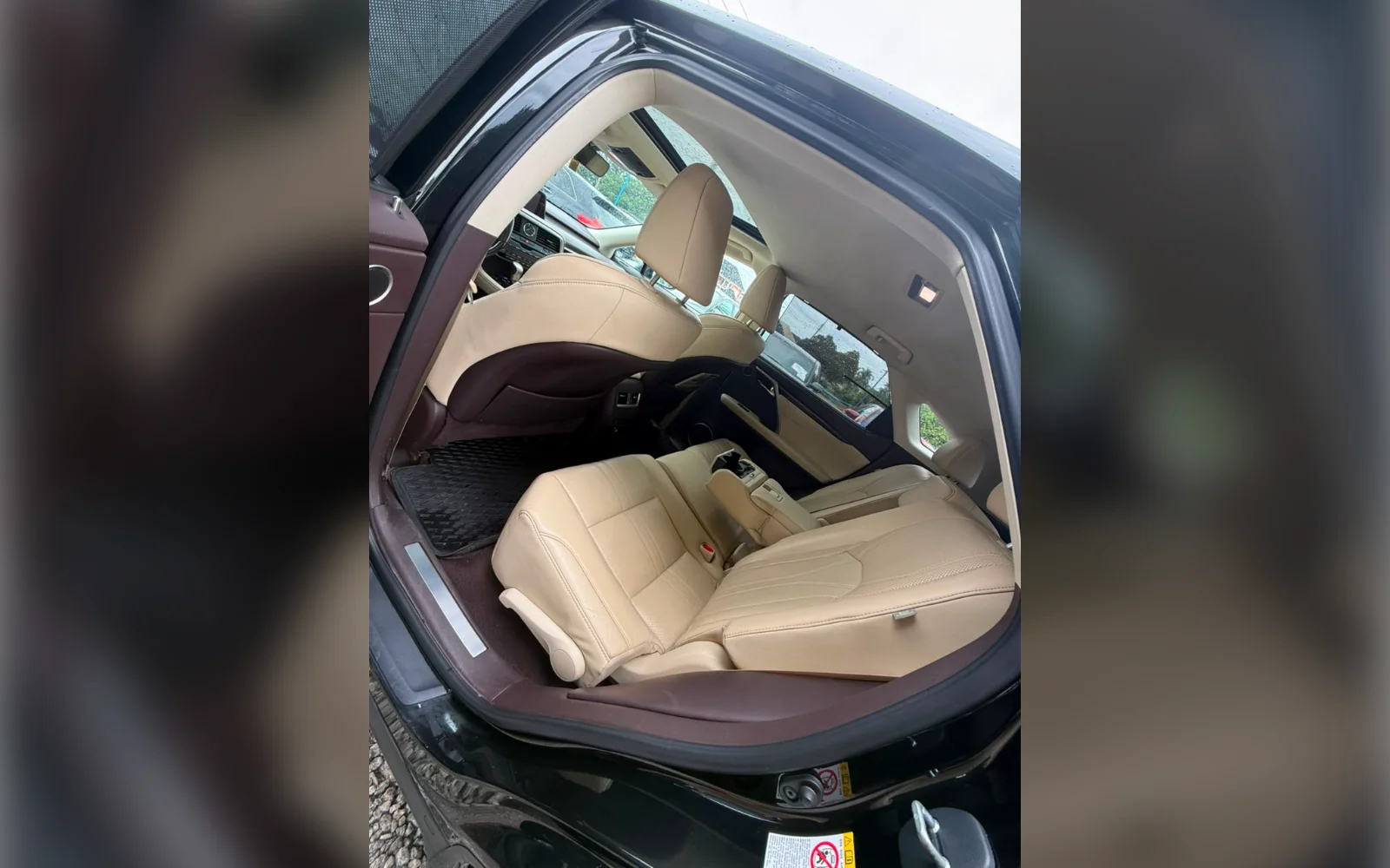 2018 Lexus RX350 thumbnail 6